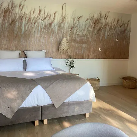 게스트하우스 Avec Jacuzzi Privatif - Kassiopee Bed &